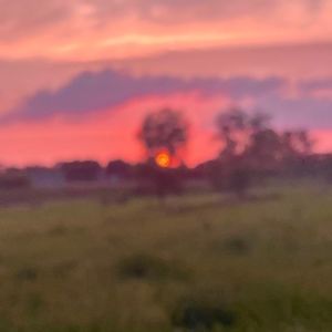 Meet your Posher, Alyss